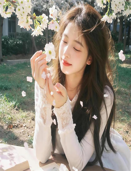 《鸟与蜜蜂》故事脉络梳理：主线与支线情节完整技术解读，4K超清